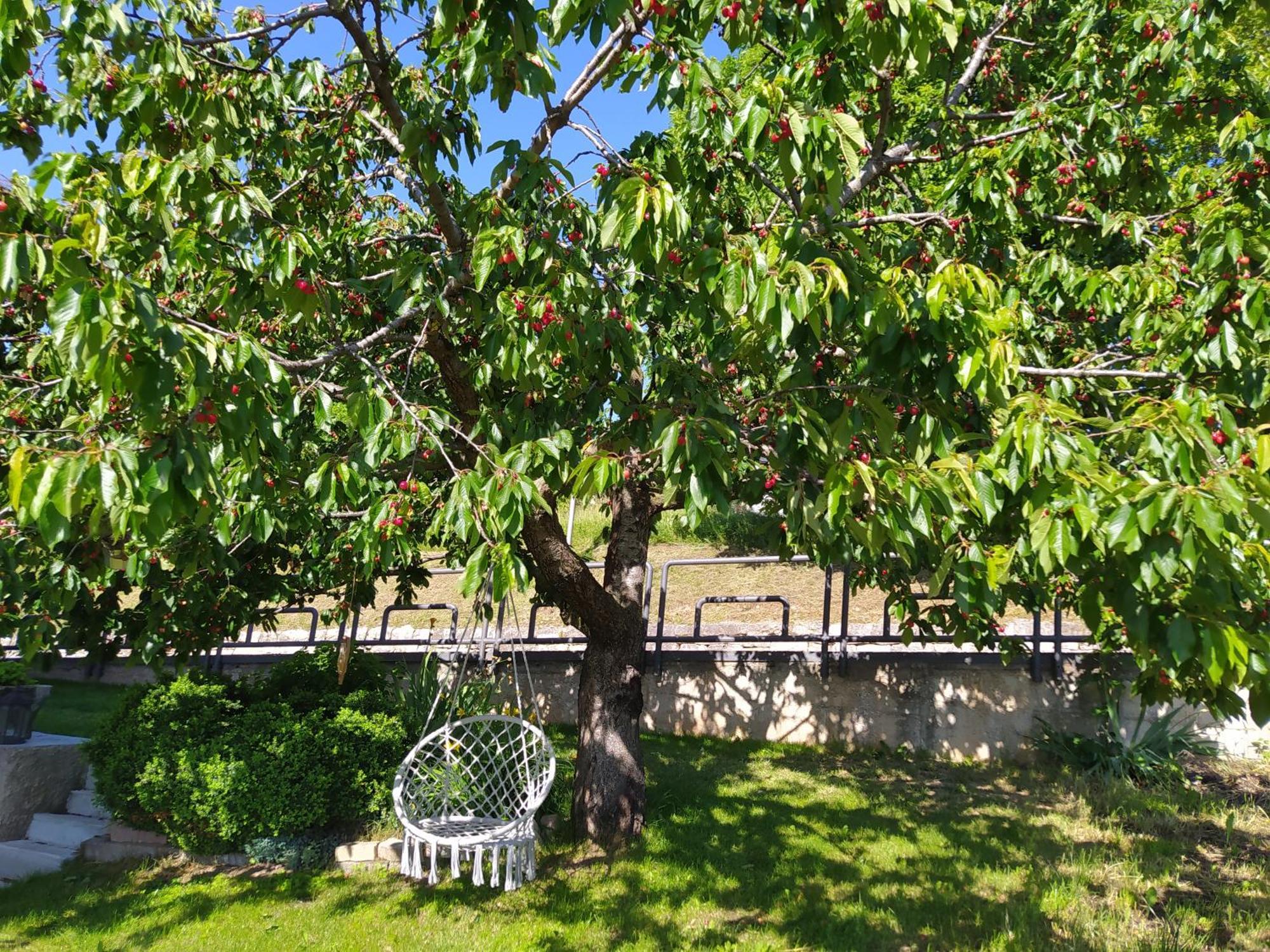 사르노니코 Casa Zucol 아파트 외부 사진